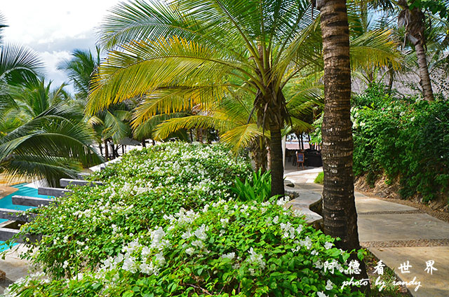 diani2D7000 184.JPG diani2D7000 184.JPG