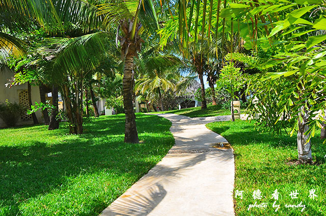 diani2D7000 204.JPG diani2D7000 204.JPG