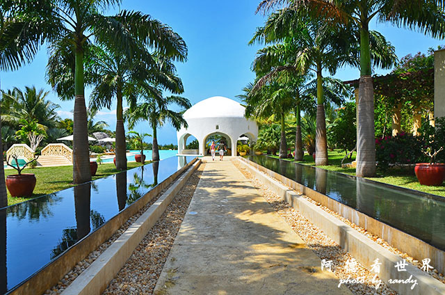 diani2D7000 211.JPG diani2D7000 211.JPG