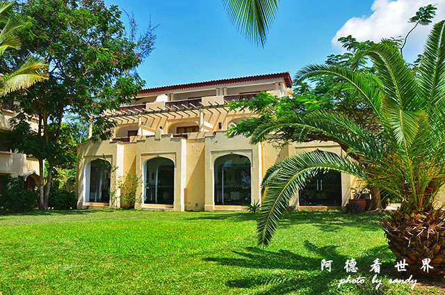 diani2D7000 247.JPG diani2D7000 247.JPG