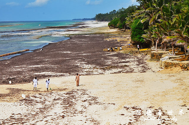 diani2D7000 104.JPG diani2D7000 104.JPG