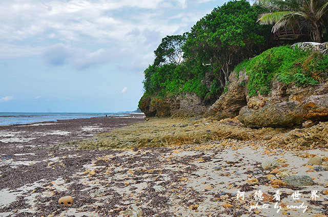 diani2D7000 122.JPG diani2D7000 122.JPG