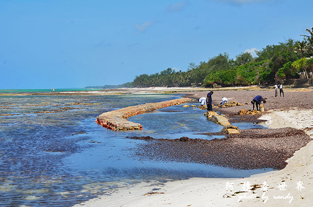 diani2D7000 275.JPG