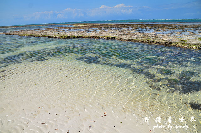 diani2D7000 353.JPG diani2D7000 353.JPG