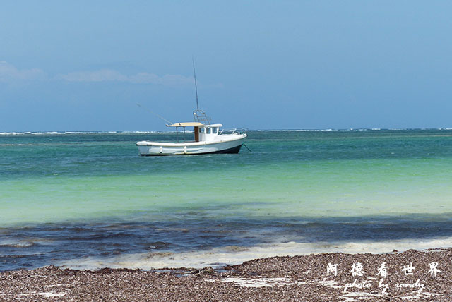 diani2FZ200 (28).JPG diani2FZ200 (28).JPG