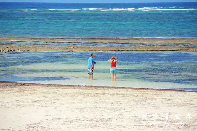 diani2P7700 146.JPG diani2P7700 146.JPG