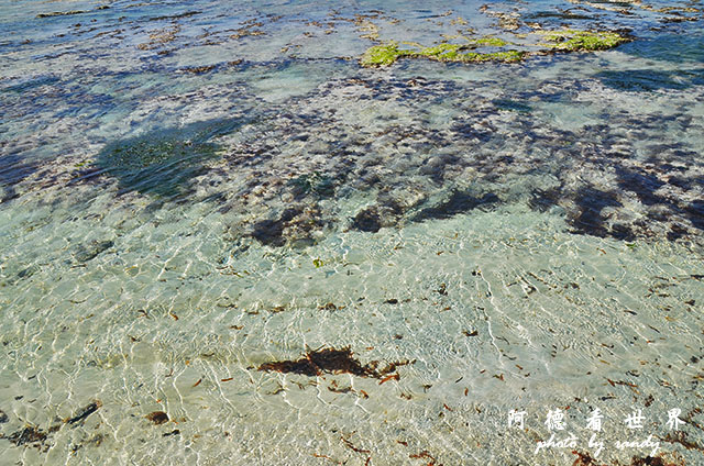 diani3D7000 124.JPG diani3D7000 124.JPG