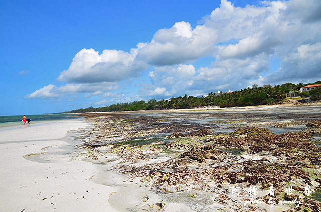 diani3D7000 180.JPG