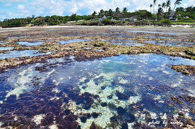 diani3D7000 231.JPG diani3D7000 231.JPG