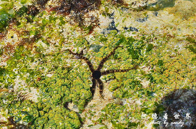 diani3D7000 280.JPG diani3D7000 280.JPG