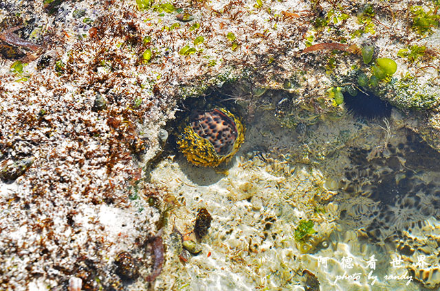 diani3D7000 284.JPG diani3D7000 284.JPG