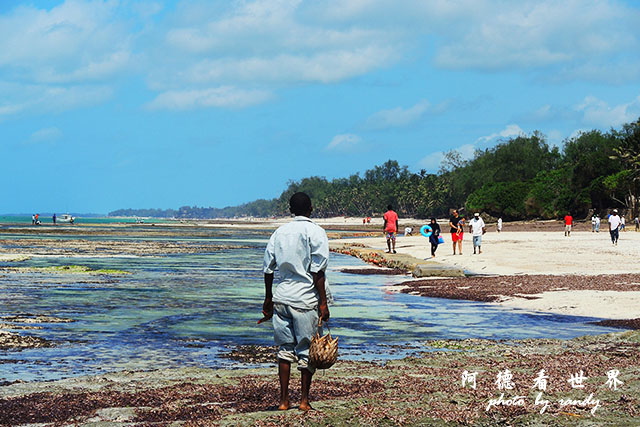 diani3P7700 032.JPG