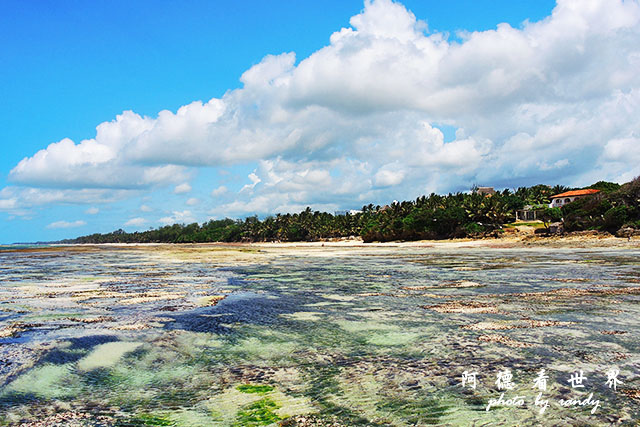 diani3P7700 052.JPG diani3P7700 052.JPG