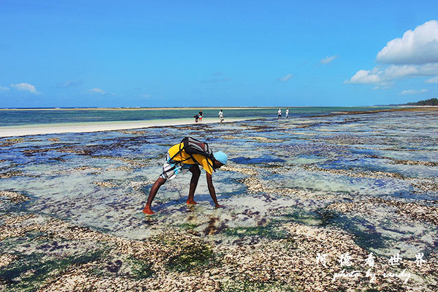 diani3P7700 054.JPG