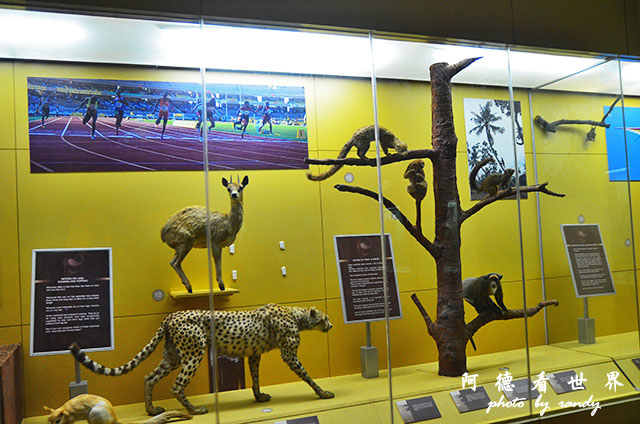 nairobi1D7000 048.JPG nairobi1D7000 048.JPG