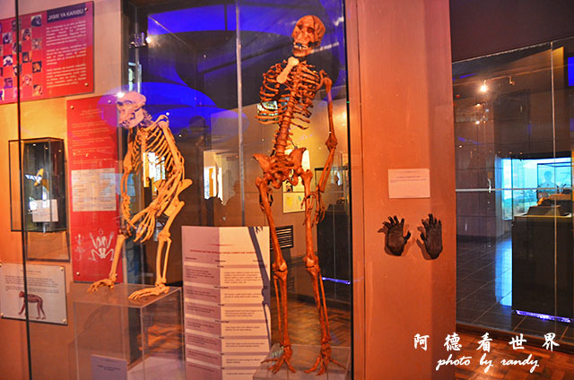 nairobi1D7000 062.JPG nairobi1D7000 062.JPG