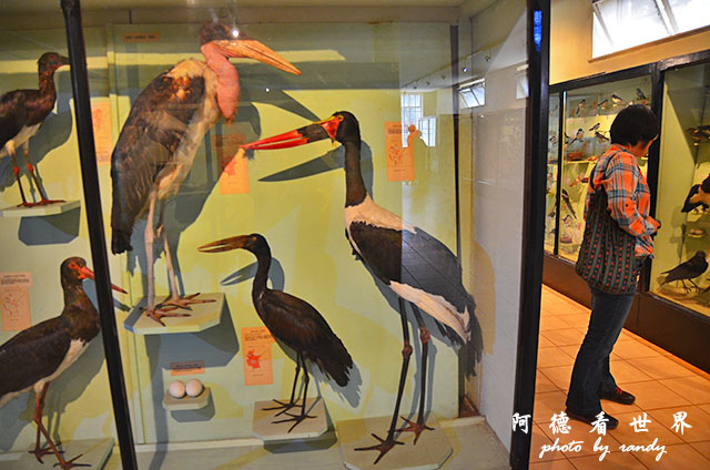 nairobi1D7000 098.JPG nairobi1D7000 098.JPG