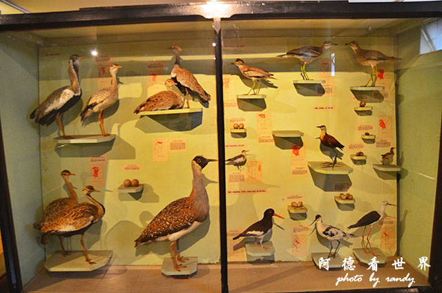 nairobi1D7000 122.JPG nairobi1D7000 122.JPG