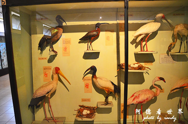 nairobi1D7000 100.JPG nairobi1D7000 100.JPG