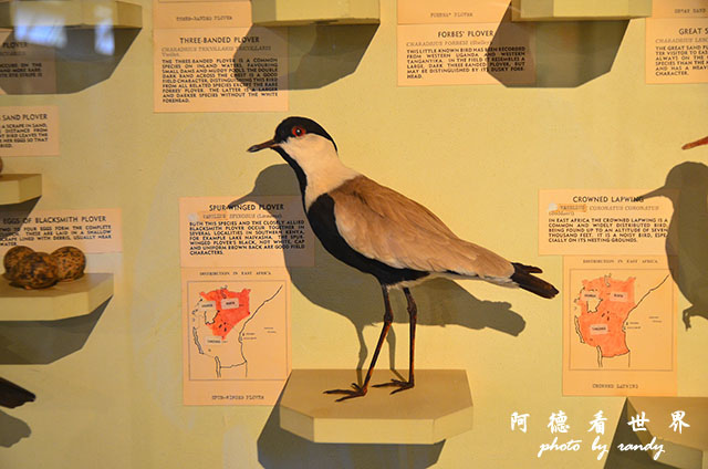 nairobi1D7000 124.JPG nairobi1D7000 124.JPG