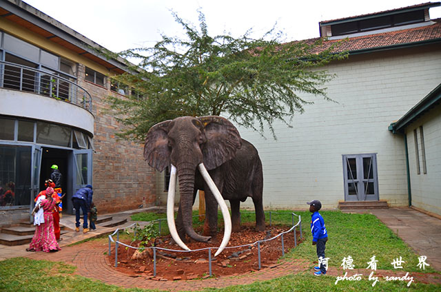 nairobi1D7000 244.JPG nairobi1D7000 244.JPG