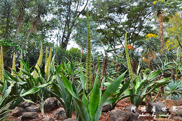 nairobi1D7000 280.JPG nairobi1D7000 280.JPG