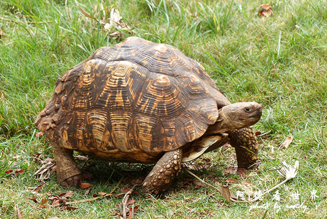 nairobi1FZ200 (7).JPG nairobi1FZ200 (7).JPG