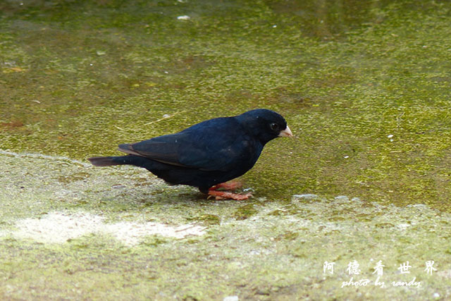 nairobi1FZ200 (18).JPG nairobi1FZ200 (18).JPG