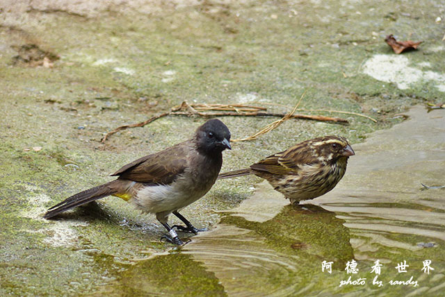 nairobi1FZ200 (28).JPG nairobi1FZ200 (28).JPG