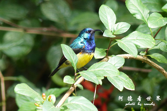 nairobi1FZ200 (150).JPG nairobi1FZ200 (150).JPG