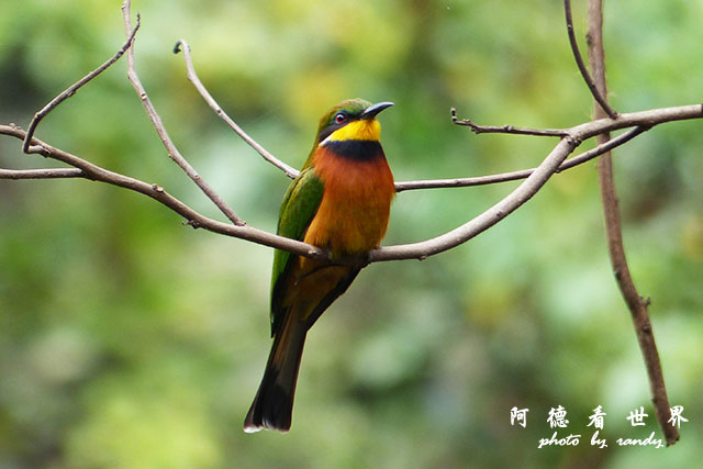 nairobi1FZ200 (176).JPG nairobi1FZ200 (176).JPG