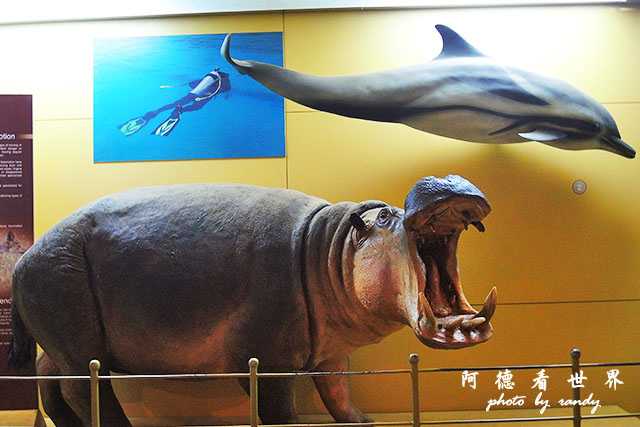 nairobi1P7700 040.JPG nairobi1P7700 040.JPG