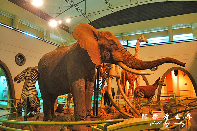 nairobi1P7700 043.JPG nairobi1P7700 043.JPG