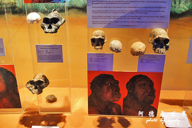 nairobi1P7700 053.JPG nairobi1P7700 053.JPG