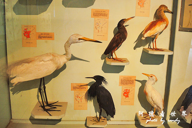 nairobi1P7700 057.JPG nairobi1P7700 057.JPG