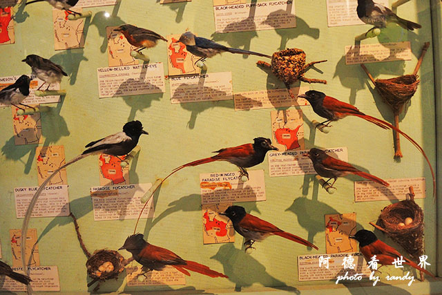 nairobi1P7700 063.JPG nairobi1P7700 063.JPG