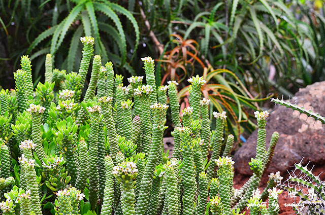 nairobi2D7000 031.JPG nairobi2D7000 031.JPG