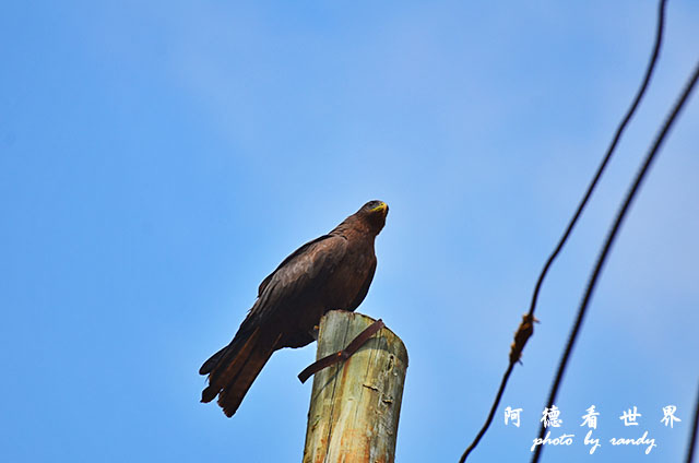 nairobi2D7000 011.JPG nairobi2D7000 011.JPG