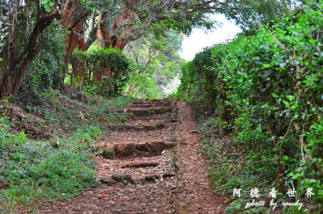 nairobi2D7000 019.JPG nairobi2D7000 019.JPG