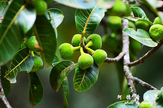 nairobi2D7000 021.JPG nairobi2D7000 021.JPG