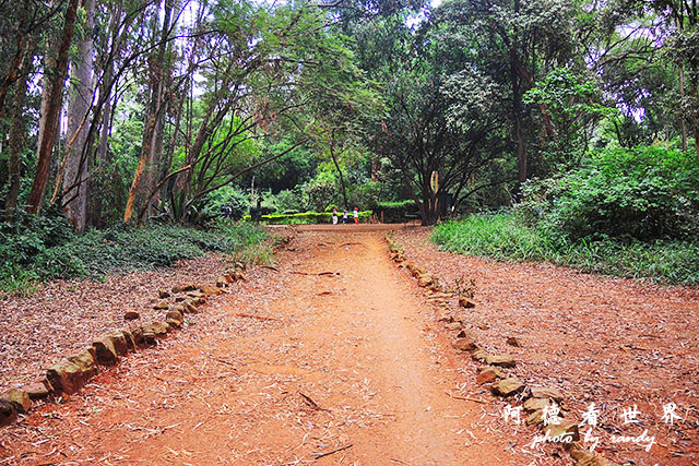 nairobi2P7700 006.JPG