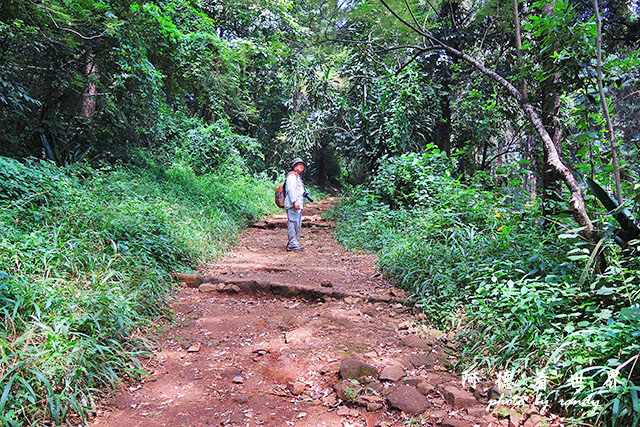 nairobi2P7700 019.JPG nairobi2P7700 019.JPG