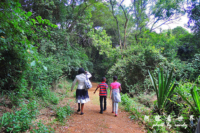 nairobi2P7700 021.JPG nairobi2P7700 021.JPG