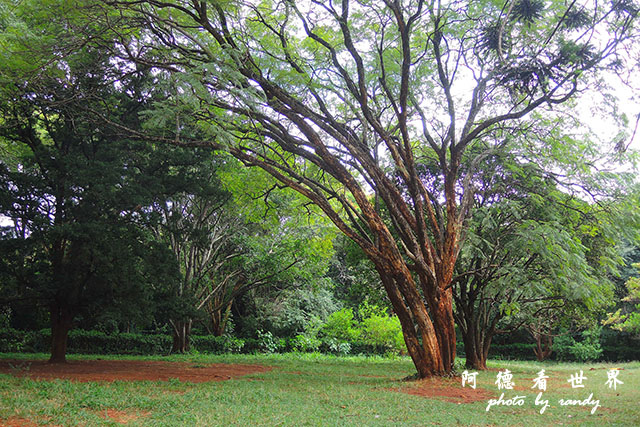 nairobi2P7700 025.JPG nairobi2P7700 025.JPG