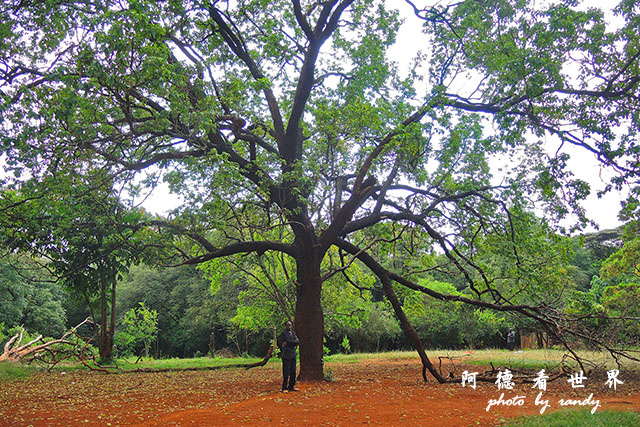 nairobi2P7700 027.JPG nairobi2P7700 027.JPG