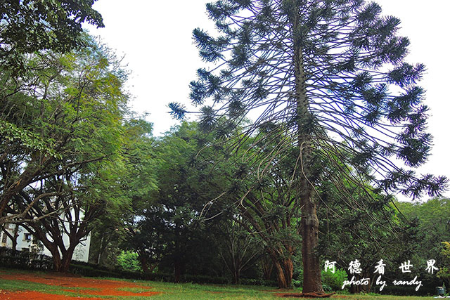 nairobi2P7700 028.JPG nairobi2P7700 028.JPG