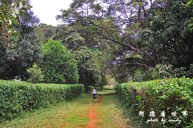 nairobi2P7700 032.JPG nairobi2P7700 032.JPG