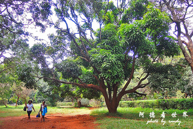 nairobi2P7700 029.JPG nairobi2P7700 029.JPG