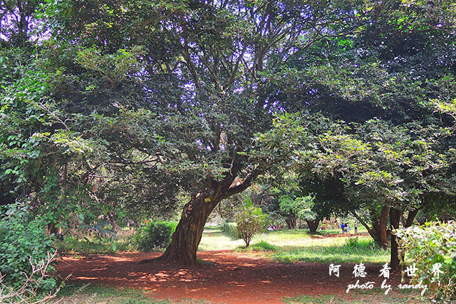 nairobi2P7700 035.JPG nairobi2P7700 035.JPG