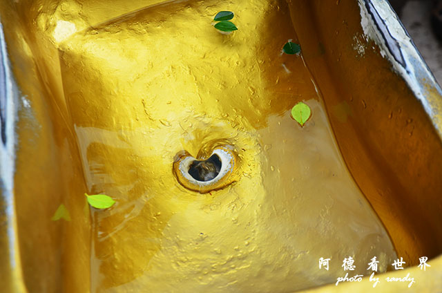 quito2D7000 100.JPG quito2D7000 100.JPG